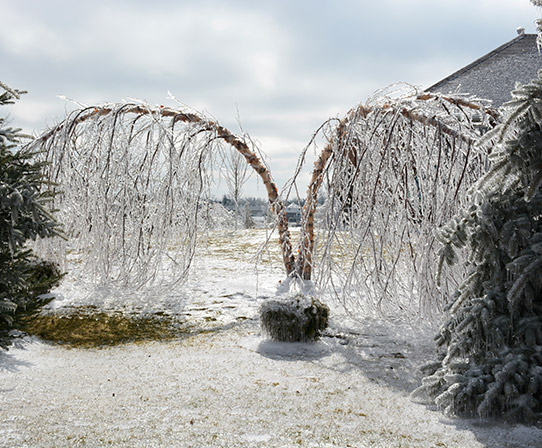 Snow or Ice Build-Up